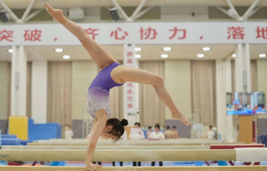 pg赏金女王模拟器的梦想实现